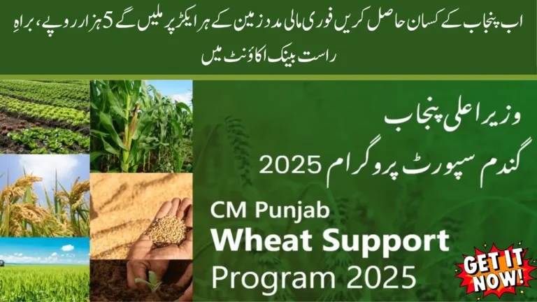 CM Punjab Wheat Support Program 2025 Farmers to Get Direct Subsidy & Bonus Payment 