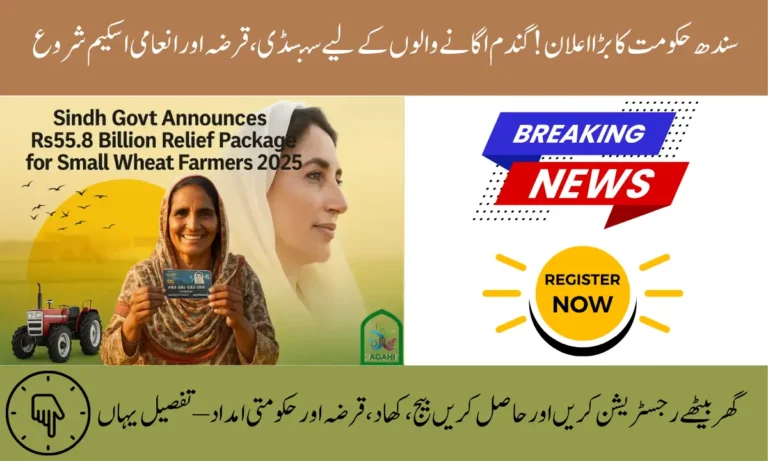 Sindh Wheat Support Program 2026 – Government Announces Subsidy & Procurement Relief for Small Farmers