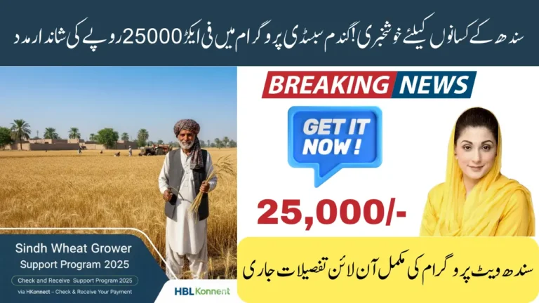 Sindh Wheat Growers Support Program 2025 – Subsidy Details, Registration & Full Support Package Overview