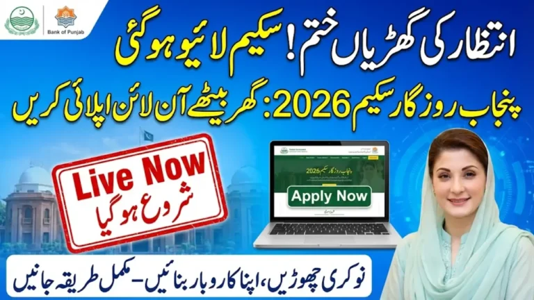 CM Punjab Rozgar Scheme 2026 Goes Live – Step-by-Step Online Application & Eligibility Breakdown
