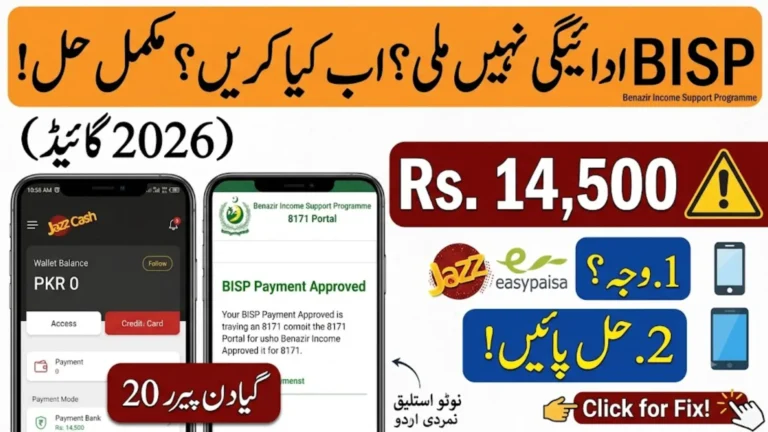 BISP Payment Missing From Wallet 2026 Reasons & How to Fix It Fast