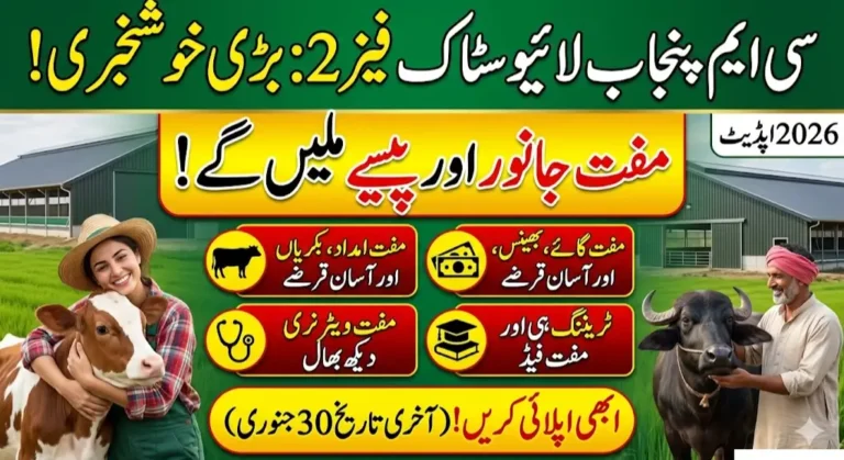 Punjab Livestock Program Phase 2 Apply Online for Animals, Loans, Subsidies & Training Support 2026