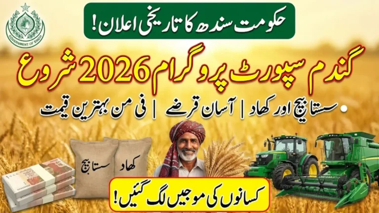 Sindh Wheat Support Program 2026 – Government Announces Subsidy & Procurement Relief for Small Farmers